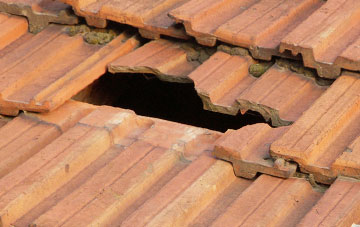 roof repair Boreland