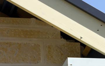 soffit repair Boreland